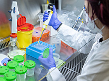 Биолог заявила о невозможности появления коллективного иммунитета