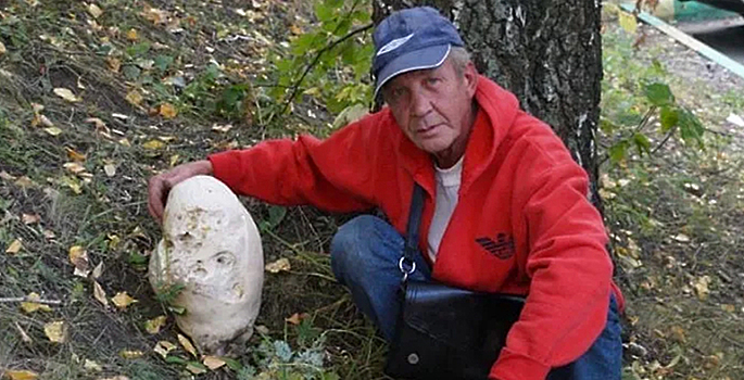 Под Москвой нашли гигантский гриб