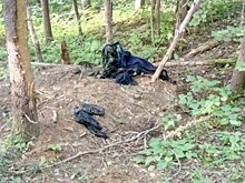 В Афанасьевском районе орудует медведь-людоед?