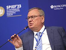 Костин предложил уйти от санкций на Юг