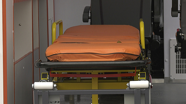 Мусоровоз задавил 83-летнюю пенсионерку в Петербурге