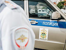 В Сочи фотографа-живодера привлекли к административной ответственности
