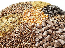 Анализ российского рынка комбикормов. Кто станет ведущими игроками рынка