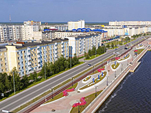 Глава Ямала Артюхов объяснил жителям Пангод проблему с бездомными собаками