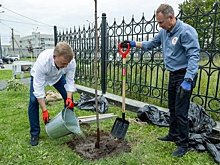 Мэр Южно-Сахалинска Сергей Надсадин поучаствовал в высадке Аллеи материнства