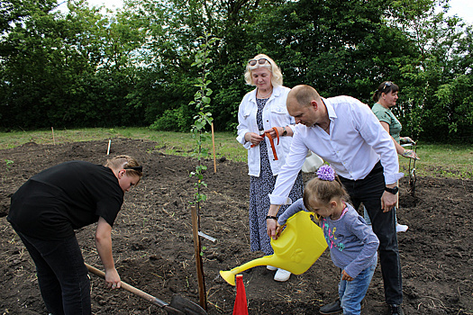 На месте разрушенного храма в Вологодской области высадили "Сад Памяти" из 36 сосен