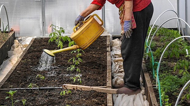 Как правильно вносить подкормки осенью