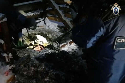 В Подмосковье благодаря сыну богородского маньяка нашли тела двух его жертв