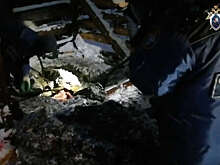 В Подмосковье благодаря сыну богородского маньяка нашли тела двух его жертв