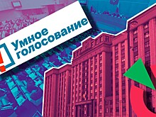 Радикальное «Яблоко». Демократы уверены, что «Умное голосование» Навального должно поддержать только их