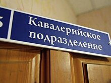 Московская полиция приобретёт солярии для лошадей