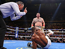 Руис о возможном сотрудничестве с тренером Альвареса: Тоже хочу с ним работать!