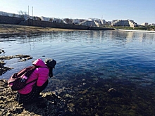 Студентка из Китая рассказала о трудностях соседства с россиянами