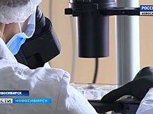 На базе СО РАН открылась новая лаборатория геномного редактирования