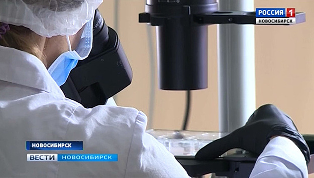 На базе СО РАН открылась новая лаборатория геномного редактирования