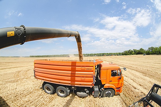 Главный фермер Кубани назвал справедливую цену на российскую пшеницу