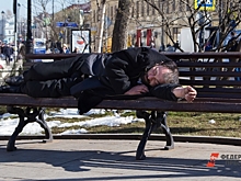В Прикамье отказались от создания медвытрезвителей: причина