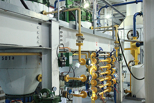 Маслоэкстракционный завод первым в Приамурье получит поддержку нацпроекта «Производительность труда»