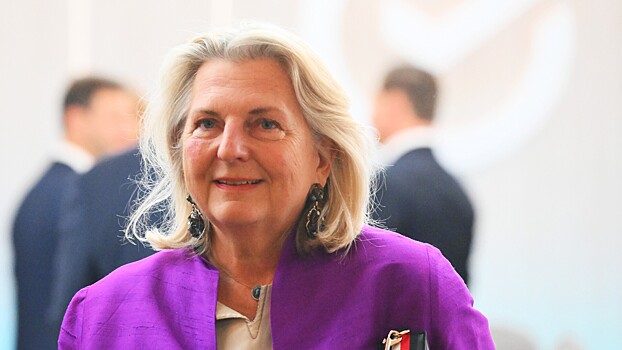 Кнайсль заявила о ежедневном нарушении нейтралитета Австрией