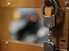 В Москве арестовали еще одного последователя блогера Лесли