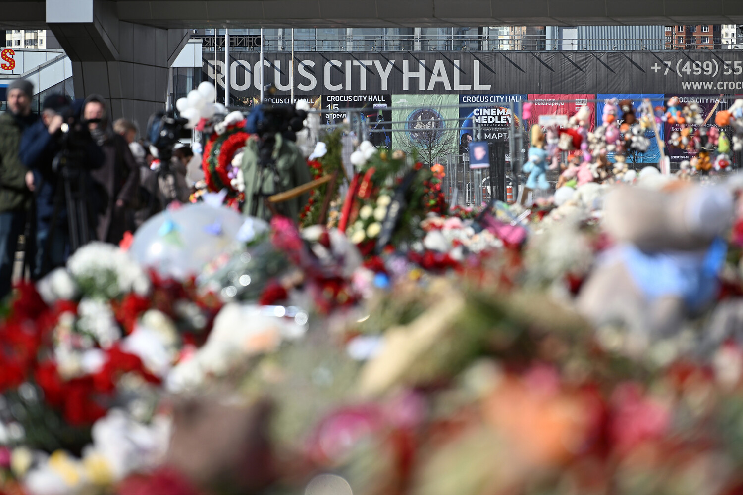 �ʠ����������&nbsp; ��������� ���������� ������� ⠫�������