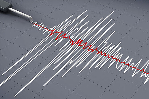 В Индии произошло землетрясение
