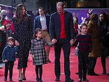 Отдаленный интерес: стало известно, как жена принца Чарльза относится к детям принца Уильяма