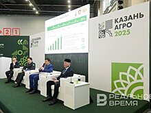 К 2030 году Татарстан хочет нарастить экспорт продукции АПК до $1,3 млрд — почти втрое больше, чем в 2024-м