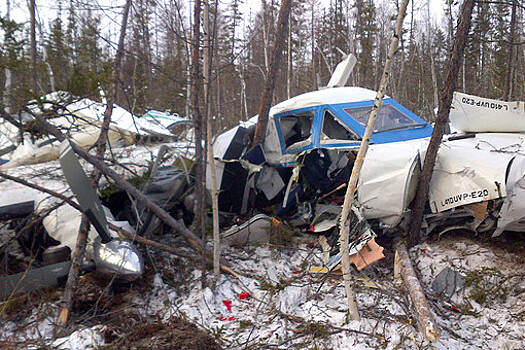 Единственную выжившую в авиакатастрофе L-410 девочку выписали из больницы