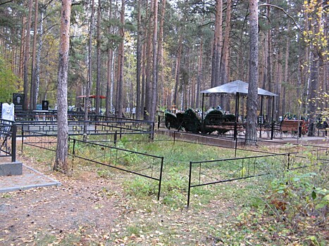 Известный политолог назвал участок под студгородок в Челябинске жутким местом