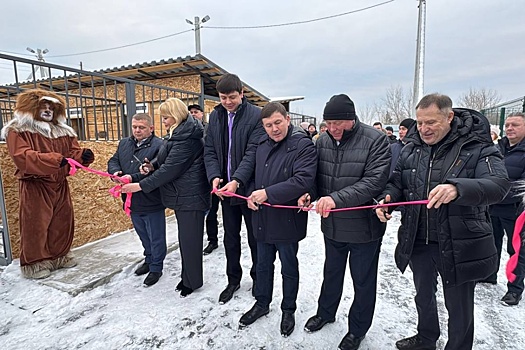 Первый муниципальный приют для бездомных животных открыли на Среднем Урале