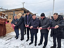 Первый муниципальный приют для бездомных животных открыли на Среднем Урале