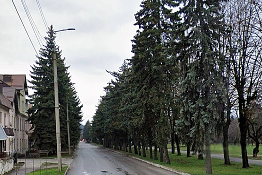 Жители Нальчика добились приостановки проекта реконструкции дороги