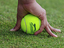 Димитров стал победителем теннисного турнира в Цинциннати