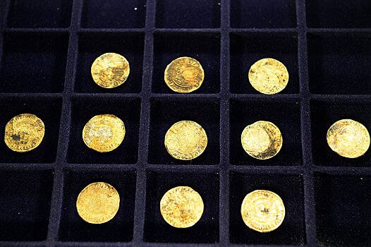 Аризона намерена ввести монеты из драгметаллов
