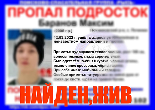 Пропавший в Починковском районе подросток найден живым
