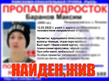 Пропавший в Починковском районе подросток найден живым