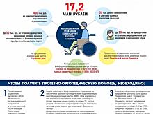 Более 17 миллионов рублей выделили из бюджета Приморья для поддержки инвалидов (инфографика)