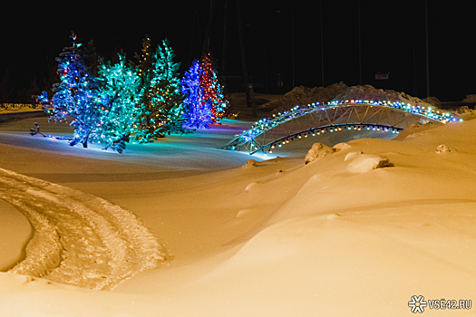 Кемеровские власти озеленят Лесную Поляну за 28 млн рублей