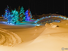 Кемеровские власти озеленят Лесную Поляну за 28 млн рублей