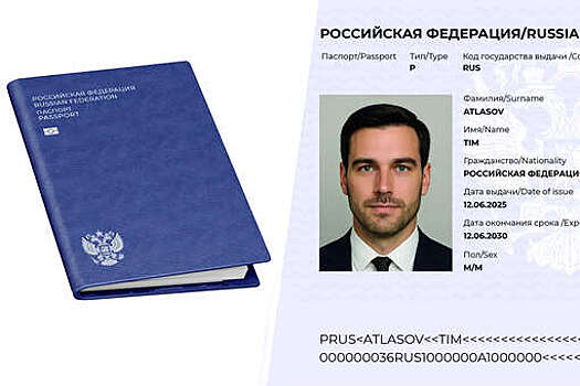 Создатели "нового паспорта РФ" заявили, что не удивлены реакции МВД на их проект