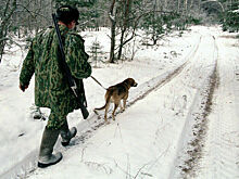 Ряд госуслуг в сфере охоты переведут в цифру
