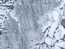 В СК рассказали про невероятные версии пропажи Усольцевых