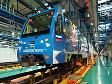 Более 50 тематических поездов запустили в московском метро в 2025 году