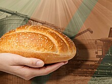 Российское зерно в опасности: как семена и рынки сбыта ставят под угрозу урожай