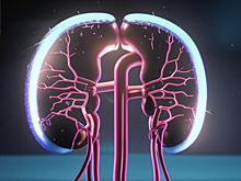 В России создали тренажер для урологов