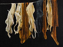 В Marina Gisich Gallery открывается выставка Петра Швецова «Не то, чем кажется»