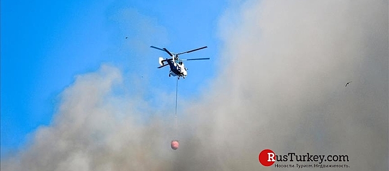 Пожар в районе Бодрума взят под контроль