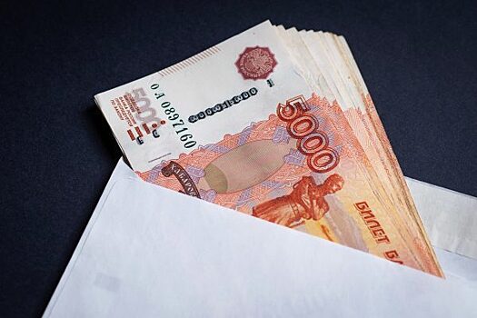 В Красноярском крае выявили три десятка «черных» кредиторов
