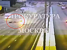 В Москве водитель на Kia сбил трех лосей